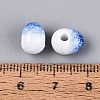 Handmade Crackle Porcelain Beads PORC-Q008-06B-06-3