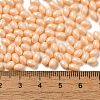 Baking Paint Glass Seed Beads SEED-C004-04J-4