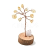 Natural Citrine Chips Tree of Life Decorations DJEW-P022-02A-01-1