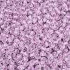 FGB Grade A Transparent Glass Seed Beads SEED-Q040-03A-06-4