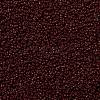 MIYUKI Round Rocailles Beads X-SEED-G009-RR0419-3