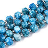 Natural Apatite Beads Strands G-N327-08A-07-2