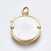 Brass Micro Pave Clear Cubic Zirconia Pendants ZIRC-S067-033G-NR-2