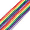 (Defective Closeout Sale: Oxydic Iron Clasp)Polyester Ribbon Name Card Holder Lanyard AJEW-XCP0001-64-4