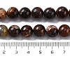 Natural Mexico Crazy Agate Beads Strands G-L615-A01-03-4