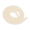 Glass Pearl Beads Strands HY-G002-01B-02-3
