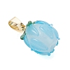 Handmade Lampwork Pendants PALLOY-JF05186-3