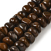 Natural Tiger Iron Beads Strands G-B078-D06-03-1