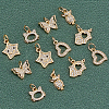 Fingerinspire 12Pcs 6 Style Brass Micro Pave Clear Cubic Zirconia Charms ZIRC-FG0001-04-4