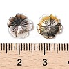 Natural Black Lip Shell Carved Beads SSHEL-I026-12A-04-3