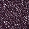 12/0 Glass Seed Beads SEED-A006-2mm-116-2