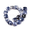 Natural Blue Spot Jasper Beads Strands G-T138-172-2