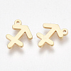 Ion Plating(IP) 304 Stainless Steel Charms STAS-S107-06C-1