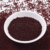 MIYUKI Round Rocailles Beads SEED-JP0008-RR2410-2
