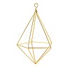 Iron Plant Hangers X-IFIN-N012-02G-1
