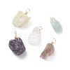 Natural Gemstone Pendants PALLOY-JF01389-01-1