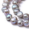 Natural Cultured Freshwater Pearl Beads Strands X-PEAR-R064-24-2