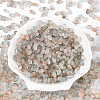 Frosted Glass Seed Beads SEED-N008-05H-2