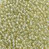 TOHO 8/0 Round Beads SEED-JPTR08-1848-4