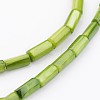 Natural Shell Bead Strands BSHE-P016-16-3