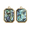 304 Stainless Steel & Natural Paua Shell Pendants SH-CBA7184-01C-G-1