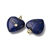 Dyed Natural Lapis Lazuli Pendants G-P588-01G-08-2