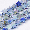 Freshwater Shell Beads Strands SHEL-N026-08E-1