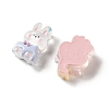 Transparent Resin Cabochons RESI-K043-26-2
