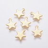 304 Stainless Steel Charms X-STAS-L234-069G-1