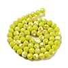 Opaque Glass Beads Strands EGLA-A035-P10mm-L04-2