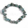 Unisex Chip Natural Apatite Beaded Stretch Bracelets BJEW-S143-54-2