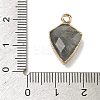 Natural Labradorite Pendants G-K422-01G-14-3