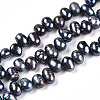 Natural Cultured Freshwater Pearl Beads Strands PEAR-N013-05L-01-2