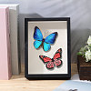 DIY Insect Specimen Display Box Kits DIY-GL0006-09-5