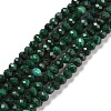 Natural Malachite Beads Strands LS-G-E194-08-1