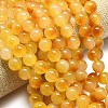 Natural Malaysia Jade Beads Strands G-L645-C01-14mm-27-3
