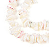 Natural Trochid Shell/Trochus Shell Beads Strands SSHEL-T017-29-3