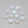 Opalite Cabochons G-R416-14mm-49-1
