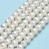 Natural Cultured Freshwater Pearl Beads Strands PEAR-F018-17E-01-2