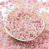 Glass Seed Beads SEED-K009-02B-17-2