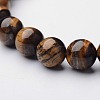 Natural Tiger Eye Beaded Stretch Bracelets X-BJEW-F203-04-2