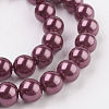 Eco-Friendly Dyed Glass Pearl Round Beads Strands HY-A002-10mm-RB058N-3