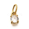 304 Stainless Steel Rhinestone Charms STAS-M109-06G-12-1