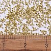 MIYUKI Delica Beads SEED-J020-DB1832-4