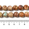 Dyed Natural Regalite/Imperial Jasper/Sea Sediment Jasper Beads Strands G-B124-C03-11-3