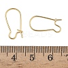 Brass Hoop Earring Findings KK-F824-009G-3