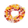 Electroplate Glass Beads Strands GLAA-T023-B16-06-2