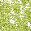 Baking Paint Glass Seed Beads X-SEED-S042-05B-62-3