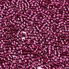 11/0 Grade A Glass Seed Beads SEED-S030-1211-2