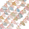 Natural Morganite Beads Strands G-P604-A07-01-2
